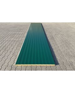 Sandwichplatten für Wand I. Wahl 40mm Moosgrün Länge 6,00m (30,00€/QM)
