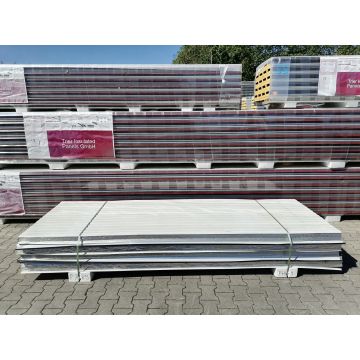 Sandwichplatten 60 mm Dach II. Wahl RAL 7016 Paket 789B