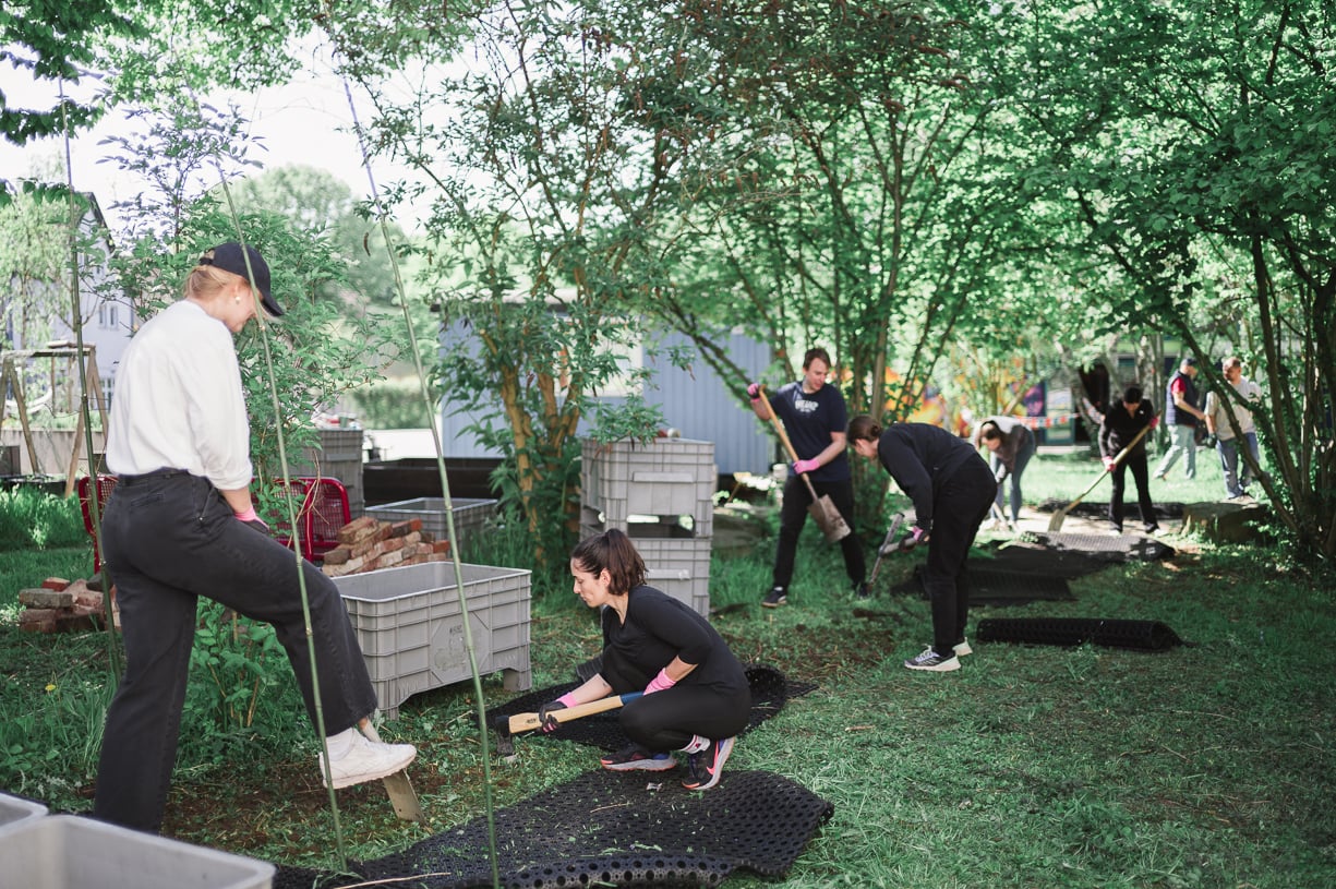 Neues Leben am Bauwagen (Bild 1)